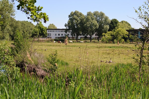 Medium property photo - Oudenaardeplantsoen 11, 1066 TH Amsterdam
